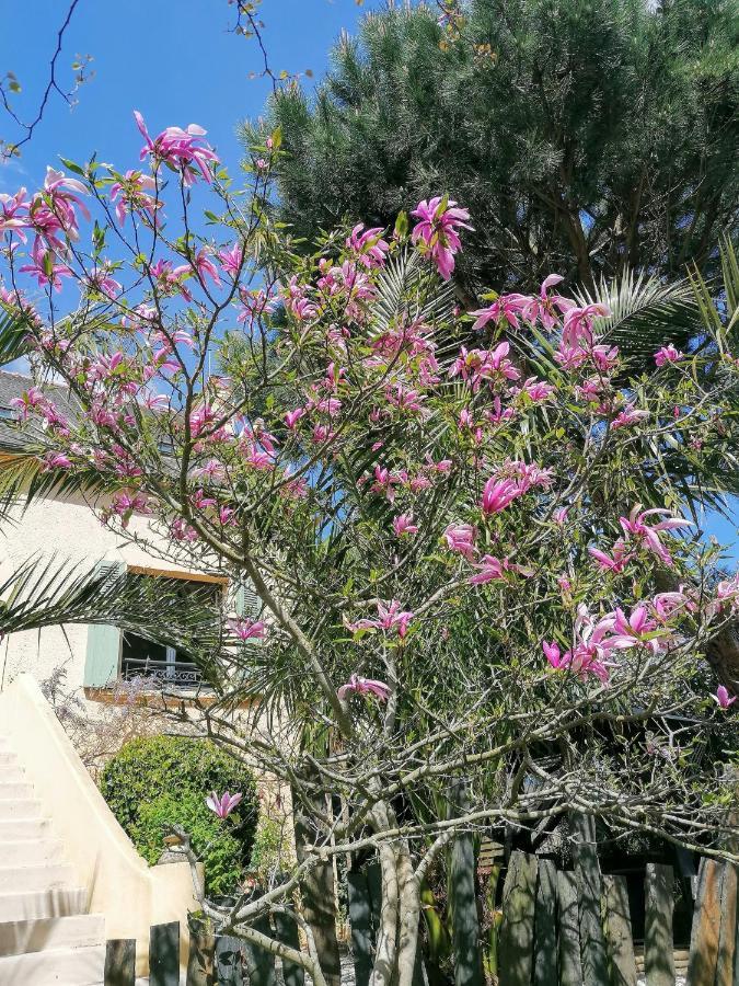 Guest House Dans Jardin Exotique Proche D'Une Voie Verte Morlaix Exterior foto